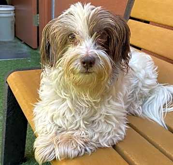 Photo of Macie