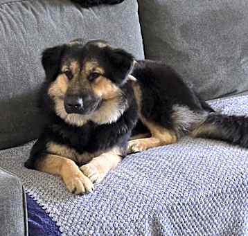 Photo of Ruby