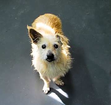 Photo of Bessie