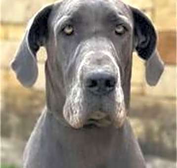 Photo of Stormy