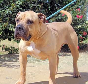 Photo of Huck