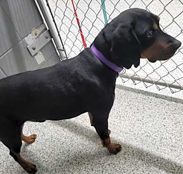 Photo of Monty