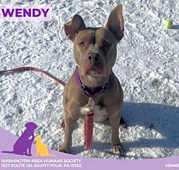 Photo of Wendy