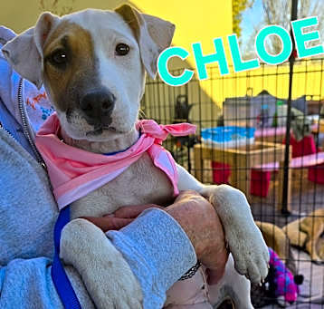 Photo of Chloe