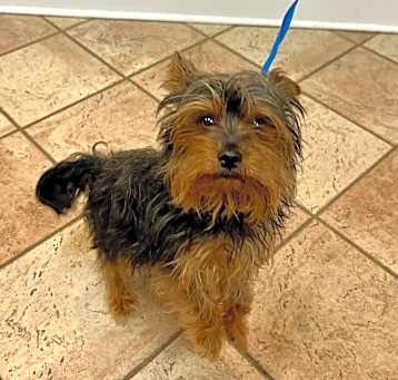 Photo of Sir Bentley Fitzsimmons
