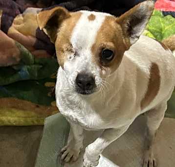 Photo of Chase