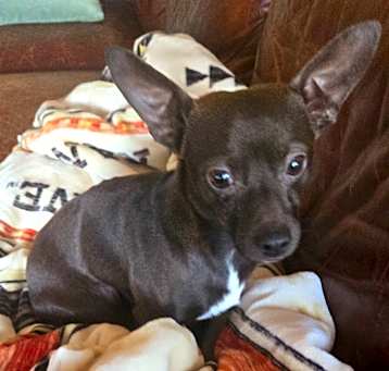 Photo of Nutty Buddy