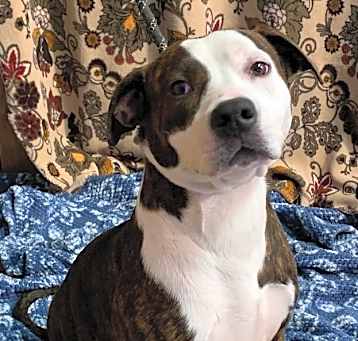 Photo of Baby Girl