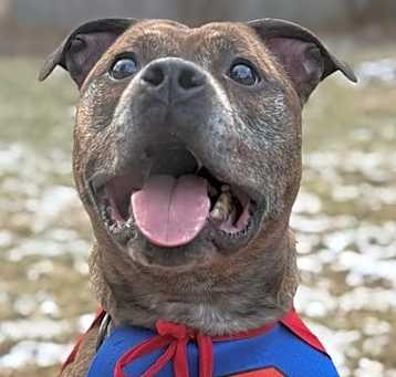 Photo of Bane