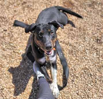 Photo of Mable