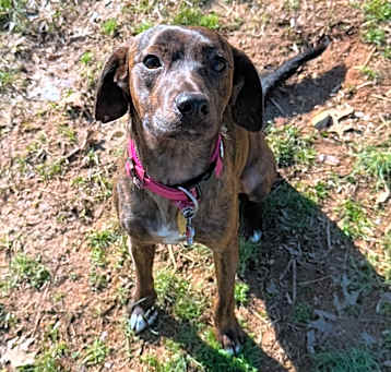 Photo of Annabelle