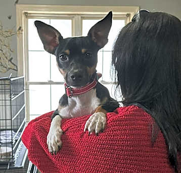 Photo of Tilly