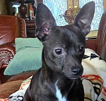 Photo of Nutty Buddy