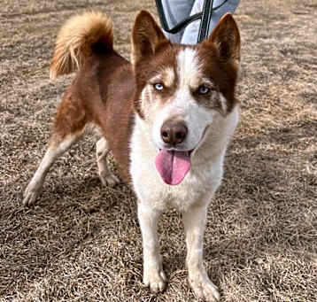 Photo of Savvy
