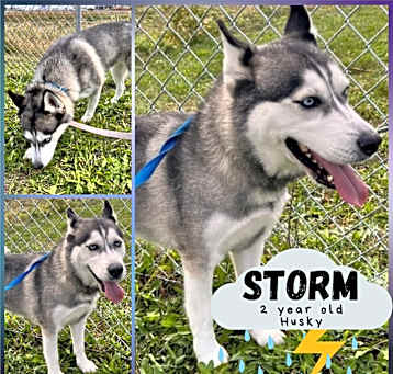 Photo of Storm