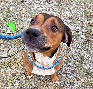 Photo of Bo