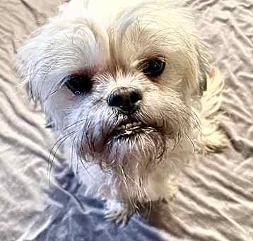 Photo of Jillian