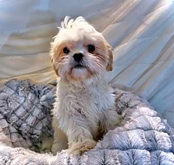 Photo of Maggie