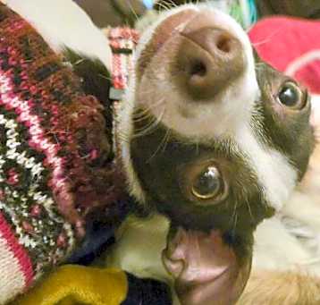 Photo of Teeter