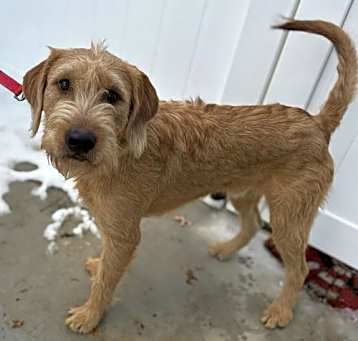 Photo of Ryder