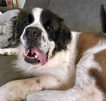 Photo of Beethoven