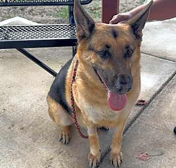 Photo of Thor