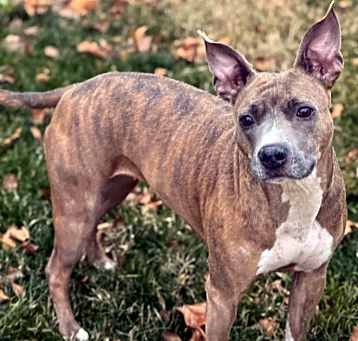 Photo of Kaylie - AVAILABLE
