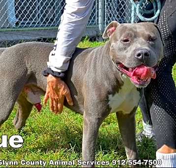 Photo of BLUE