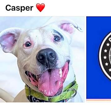 Photo of CASPER
