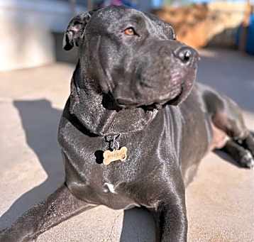 Photo of Muneca