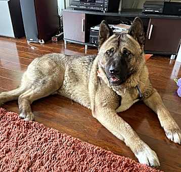 Photo of Hiro