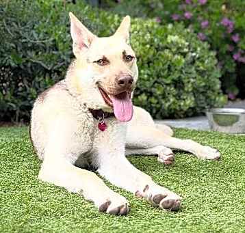 Photo of Cleo
