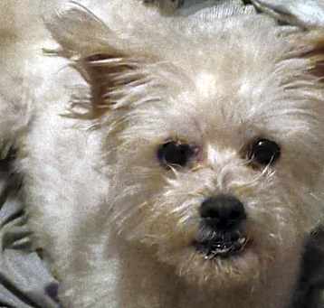 Photo of Mickey
