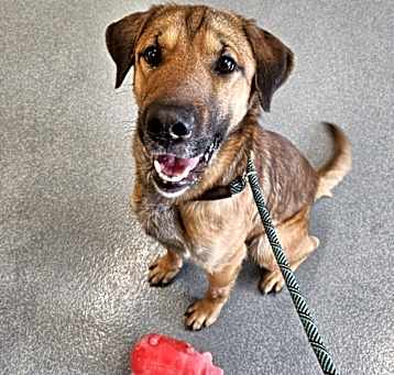 Photo of Winston