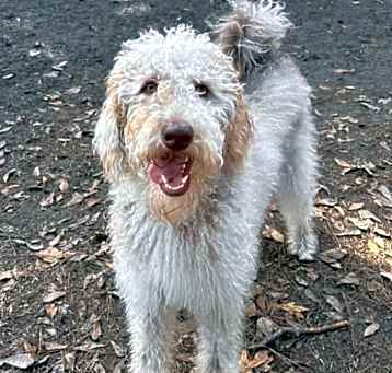 Photo of Tilly