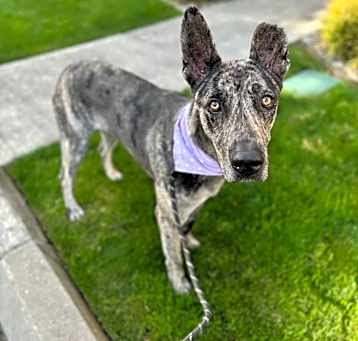Photo of Sienna