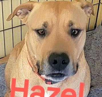 Photo of Hazel JM