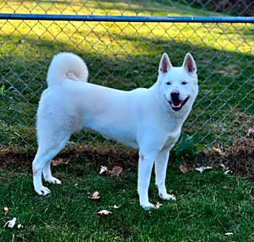 Photo of Bella
