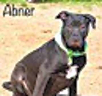Photo of Abner