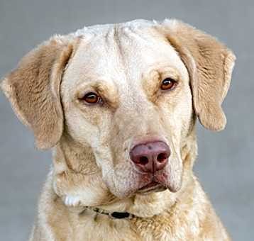 Photo of Cash