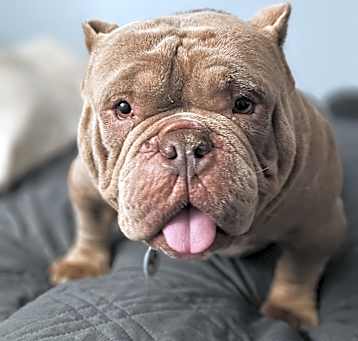 Photo of Rumble