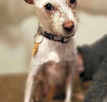 Photo of Barbie