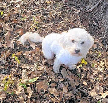 Photo of Holly