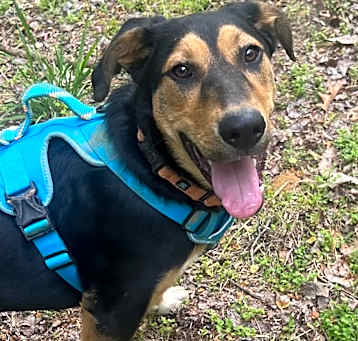 Photo of Shagalicious (aka Shaggy)