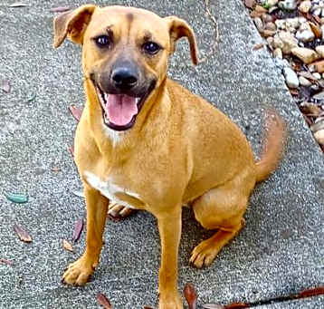 Photo of Nellie