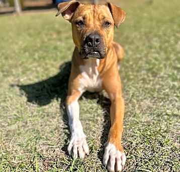 Photo of Tank+