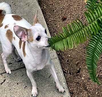 Photo of Casper