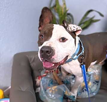 Photo of Bubba Charlie