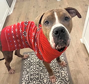 Photo of Arlo