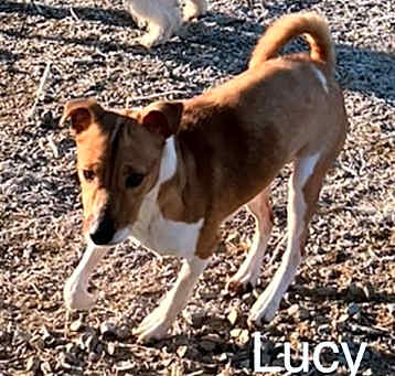 Photo of Lucie*